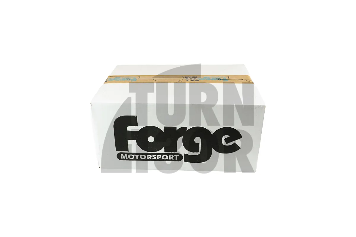SEAT Ibiza / Skoda Fabia / VW Polo 1.2TSI-1.4GT 2015- Forge Motorsport Intake