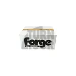 SEAT Ibiza / Skoda Fabia / VW Polo 1.2TSI-1.4GT 2015- Forge Motorsport Intake