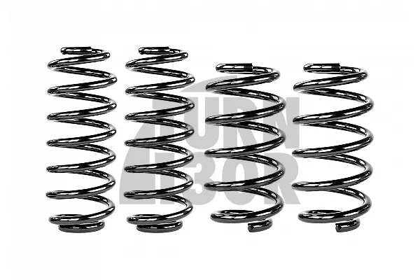 Eibach Pro-Kit Lowering Springs for Audi S4 B8 Avant -20mm