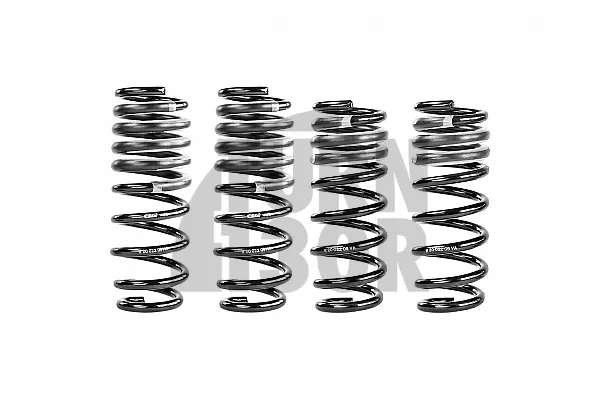 Eibach Pro-Kit Lowering Springs for BMW M5 F10 -25mm