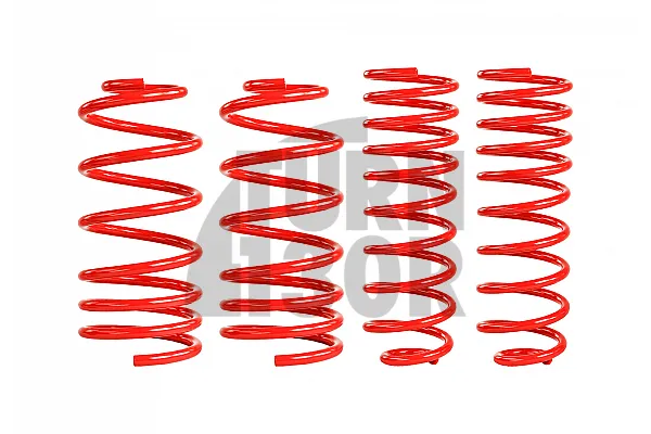 Eibach Sportline Lowering Springs for Golf 3 VR6 -45mm