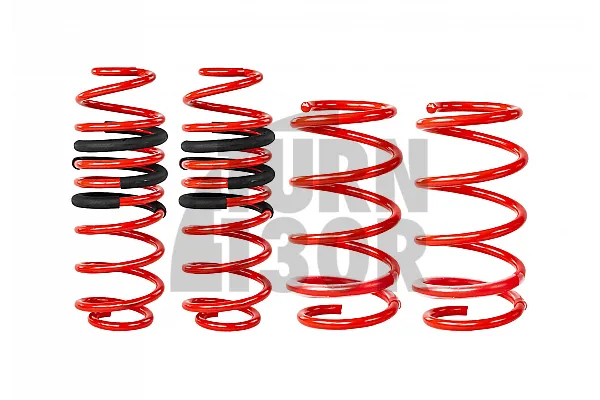 Eibach Sportline Lowering Springs for Polo AW GTI -30mm