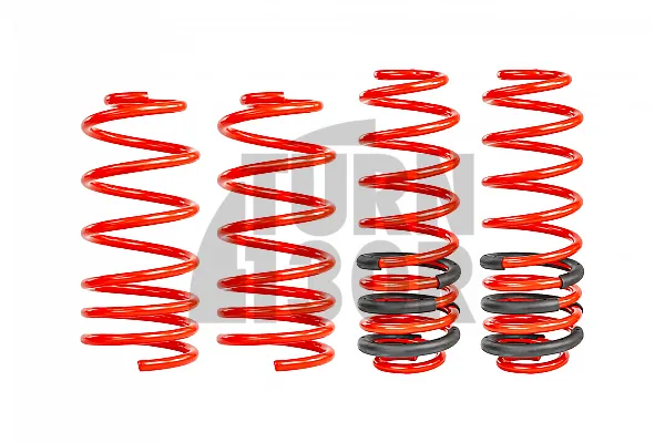 Eibach Sportline Lowering Springs for Seat Leon 1M Cupra R / 1.8T 20V -45mm
