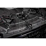 Eventuri карбонова всмукателна система за Audi RS6 C8 / RS7 C8