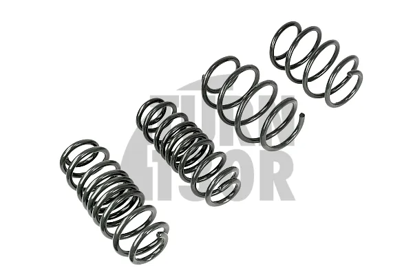 Racingline -25mm Спортни Пр springs за Golf 8 GTI