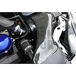Airtec Carbon Fiber Intake for Ford Focus 2 RS
