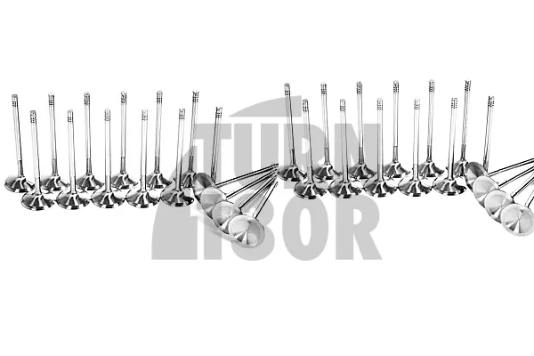Ferrea Competition Plus Engine Valves x16 for A3 8P - Golf 6 GTI - Leon 2 FR  2.0 TSI EA888.1/2