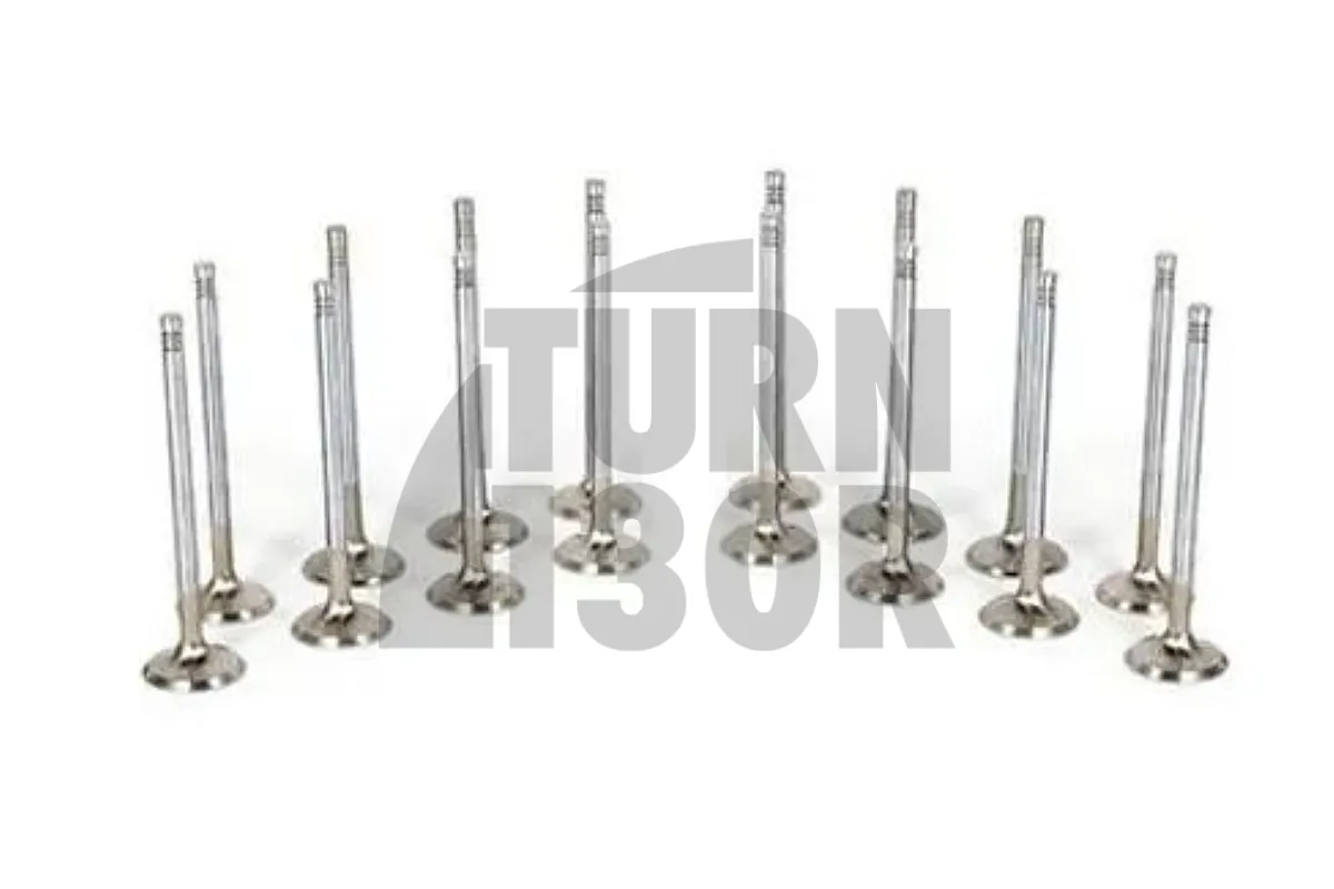 Ferrea Competition Plus Engine Valves x16 for S3 8P - Golf 6 R 2.0 - Leon 2 Cupra TFSI EA113
