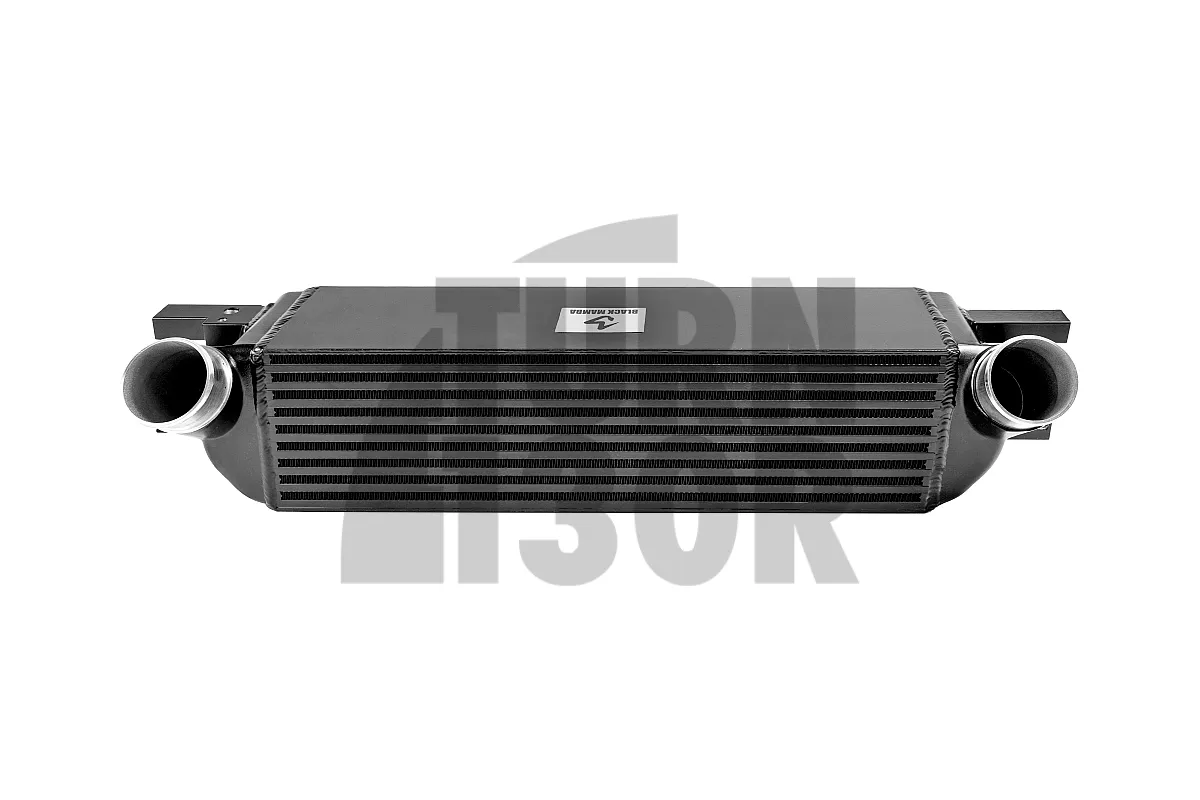Black Mamba Intercooler Kit for Ford Mustang 2.3 Ecoboost 
