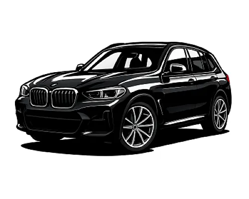 BMW X3 / X4 M (F9X) — 480 or 510 PS • 2019–present