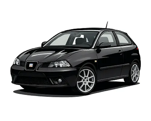 Seat / Cupra Ibiza (6L) — 180 PS • 2002–2008