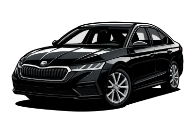 Performance parts for Skoda Octavia  NX - 20-... RS - 245/265