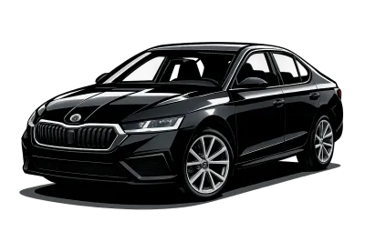 Performance parts for Skoda Octavia  NX - 20 - ... RS - 245/265